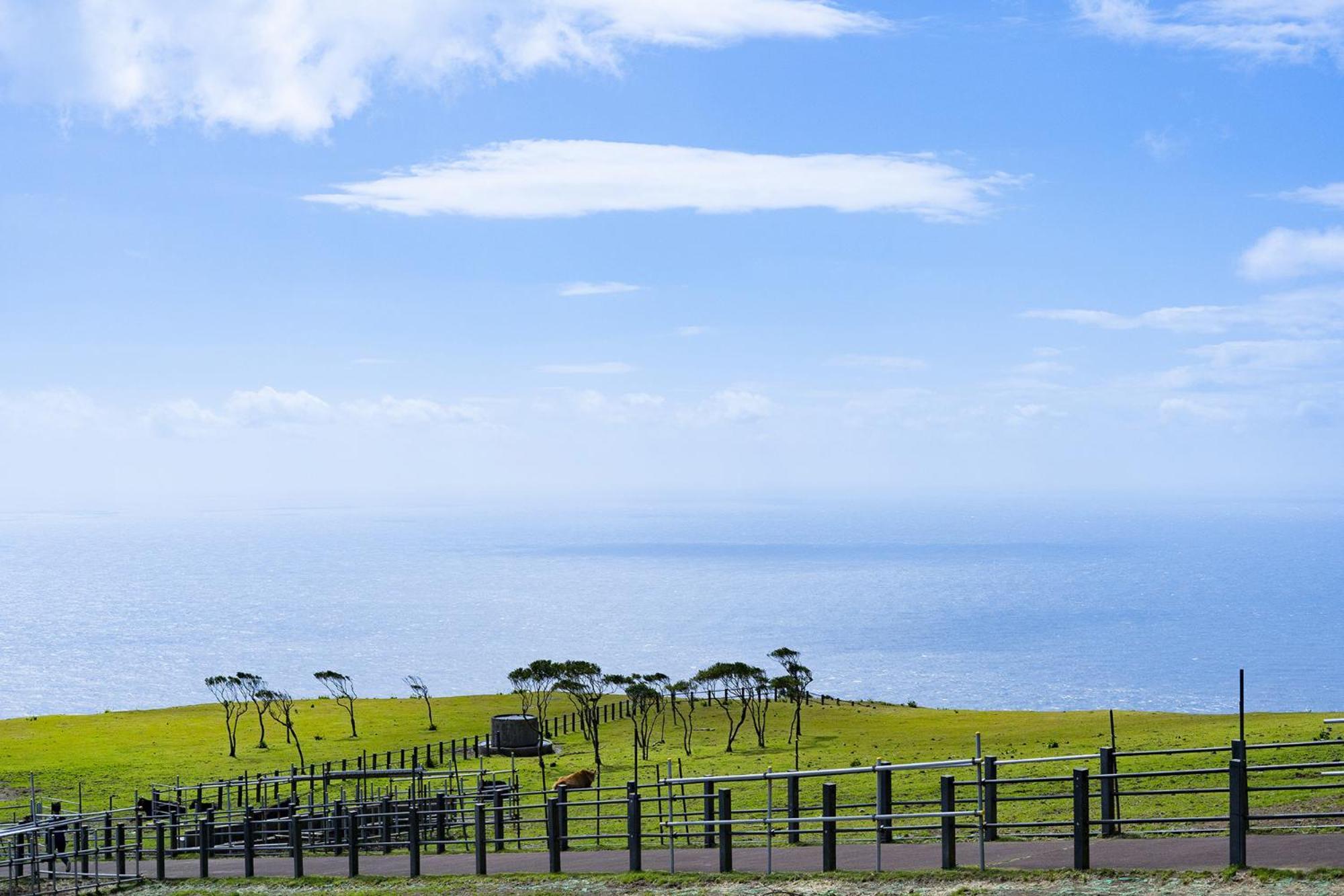 Hachijyo-Island Blue Eight -八丈島ブルーエイト- Villa Mitsune Exterior foto